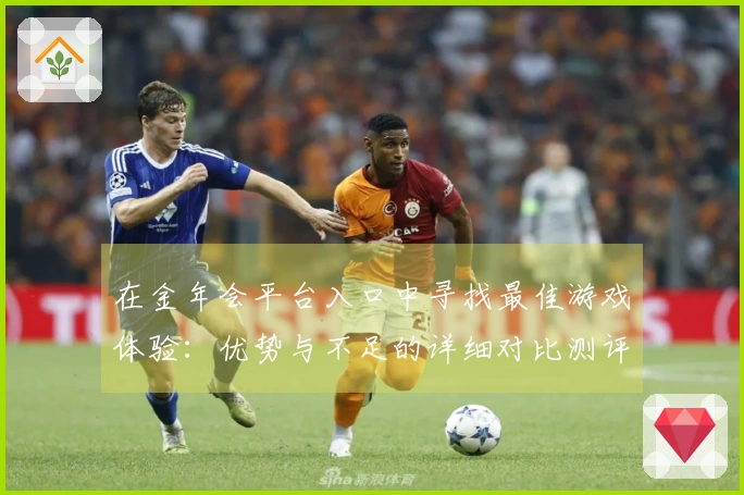 在金年会平台入口中寻找最佳游戏体验：优势与不足的详细对比测评