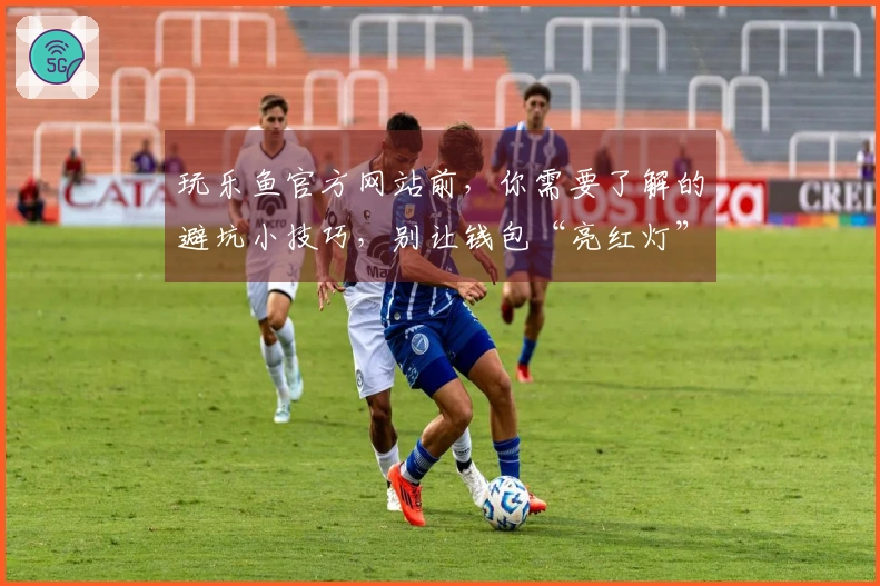 玩乐鱼官方网站前，你需要了解的避坑小技巧，别让钱包“亮红灯”！