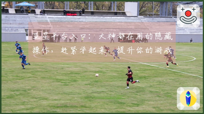 亚星平台入口：大神都在用的隐藏操作，赶紧学起来，提升你的游戏战力！