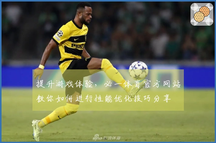 提升游戏体验，必一体育官方网站教你如何进行性能优化技巧分享